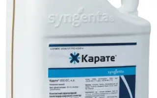 Каратель ЕС