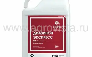 ДИАЗИНОН К.Е.