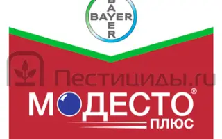 Модесто 480 FS