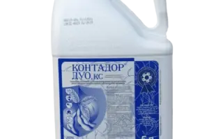 Контадор р.к.