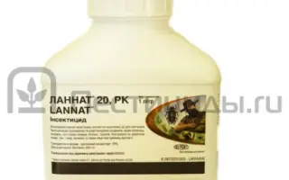 Ланнат 20