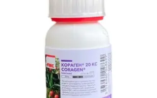 Кораген 20, КС