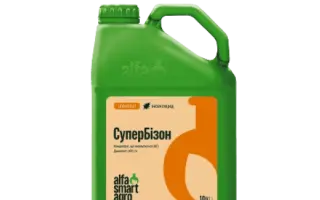 СуперБізон