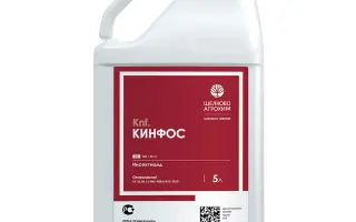 Кинфос