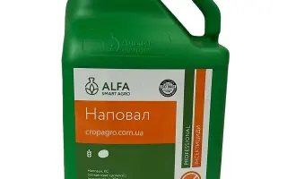 Наповал, КС