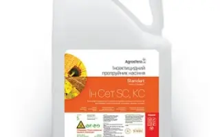 Ин Сет SC, КС