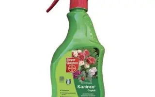 Каліпсо Спрей AL