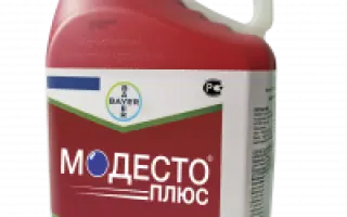 Модесто Плюс 510 FS