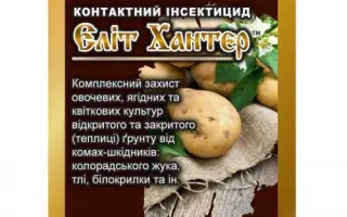 Еліт Хантер