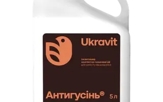 АНТИГУСІНЬ