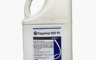 КРУЇЗЕР ФОРС МАІС 280 FS