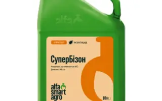 СуперБізон