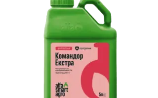 Командор Екстра