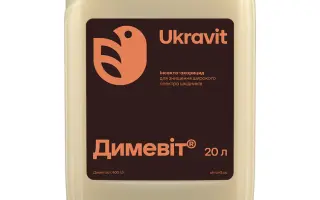 ДИМЕВІТ