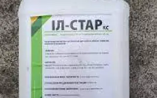 ИЛ-Стар КС