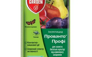 Децис Профі 25WG