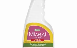 МІЛЕДІ СПРЕЙ