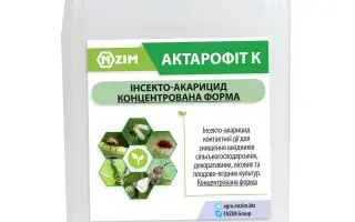 Актарофіт, КЕ