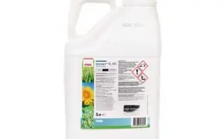 Імпакт К, КС