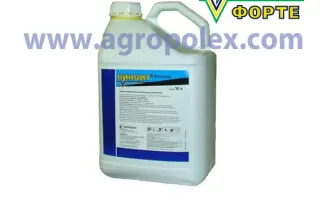 Вінцит Мініма