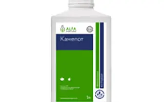 Камелот, КЕ