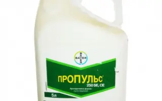 Пропульс 250SE