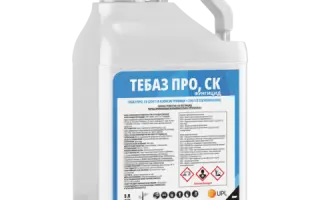ТЕБАЗ ПРО