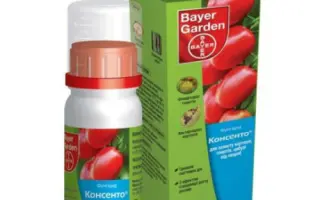 Консенто 450SC