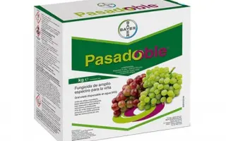 Пасадобль 70WG