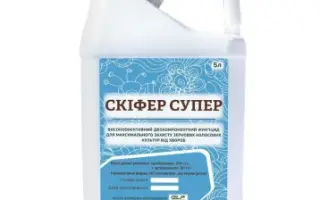 Скіфер супер