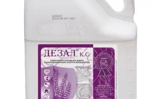 ДЕЗАЛ