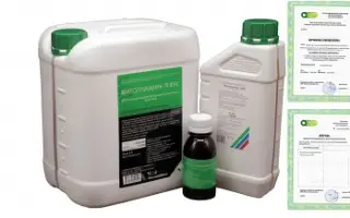 ФИТОПЛАЗМИН