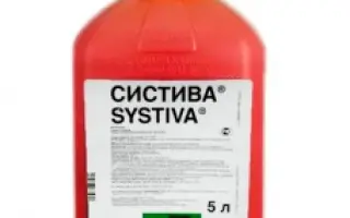Систіва