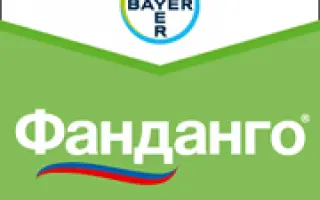 Фанданго 200 ЕС