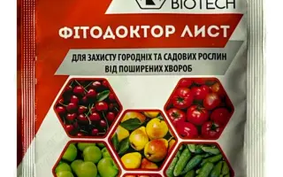 ФитоДоктор