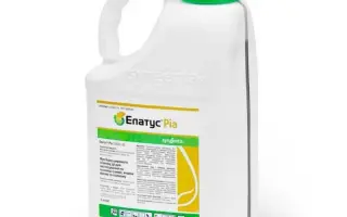 ЕЛАТУС РІА 358 ЕС