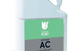 Грінфорт АС, КС