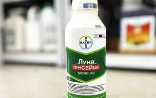 Луна Сенсейшен 500 SС