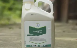 Инфинито SC 61