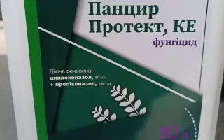 Панцир Протект