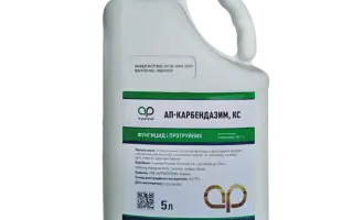 Забрало, КС