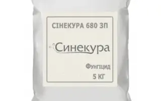 Синекура 680