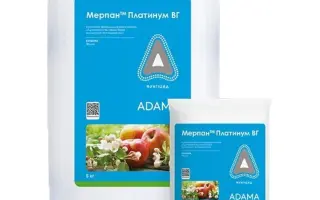 Мерпан Платинум