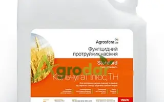 Кольчуга Плюс