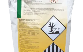 Тангейзер К, ВГ