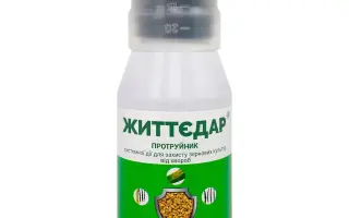 Життєдар, КС