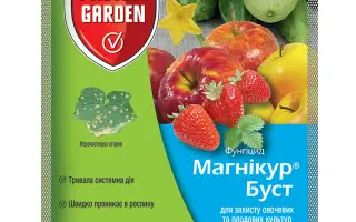 Магніку Буст 80 WP