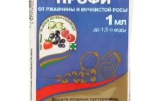 Мелеф Протект