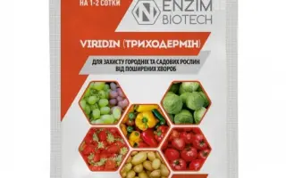 Фунгицид биологический «Viridin (Триходермин)