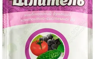 ЦИЛЕЙТЕЛЬ